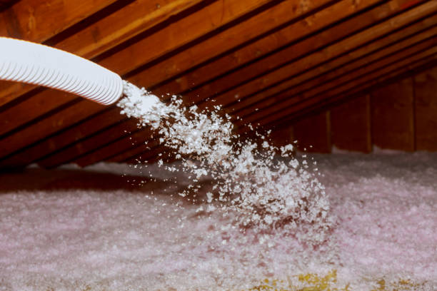 Best Affordable Insulation Services  in Farrell, PA