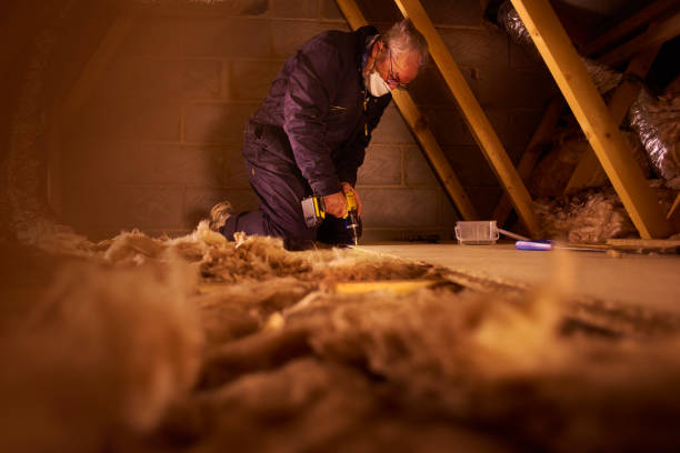 Best Insulation Removal  in Farrell, PA